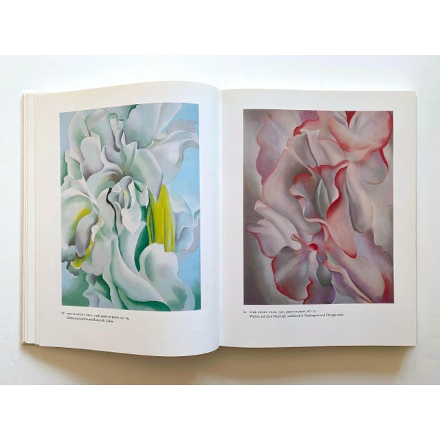 Georgia O'Keeffe Vintage 1987 First Edition 