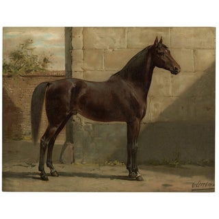 East Prussian Horse, 1898, Print For Sale