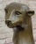 Metal Modern Art Extra Large Mountain Lion Bronze Sculpture By Henry Moore Figurine For Sale - Image 7 of 10