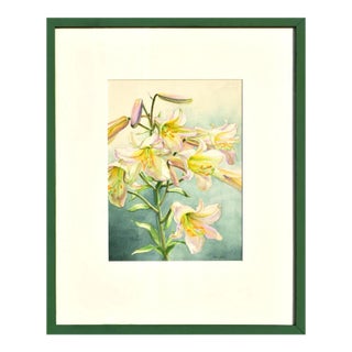 Late 20th Century Original Watercolor Painting of Lillies For Sale