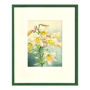 Late 20th Century Original Watercolor Painting of Lillies