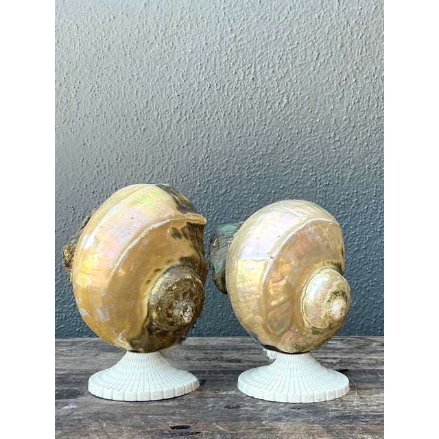 Ivory Vintage Deco Nautilus Shell Lamps - A Pair For Sale - Image 8 of 12