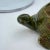 1970s Bitossi-Style Green Ceramic Turtle Planter For Sale - Image 5 of 8