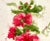 2020s Original Watercolor Tall Painting “Hollyhocks” Framed For Sale - Image 5 of 12