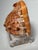 Salmon Coastal Red Helmet Tabletop Shell With Lucite Stand For Sale - Image 8 of 11
