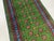 Gemstone Green Tribal Geometric Hallway Runner Rug With Turquoise Border, 2'9" X 15'10" For Sale - Image 7 of 12