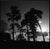Not Yet Made - Made To Order Paul Cooklin, Treeline, Sutton Hoo, Suffolk, Edition of 50 For Sale - Image 5 of 5