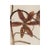 Rustic European Vintage Swedish Herbarium - Fritillaria ~ Checkered Lily, Circa 1937 For Sale - Image 3 of 4