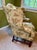 American 1990s Pristine Hickory Chair "Townsend" Chippendale-Style Wingback Chair in Floral Damask For Sale - Image 3 of 9
