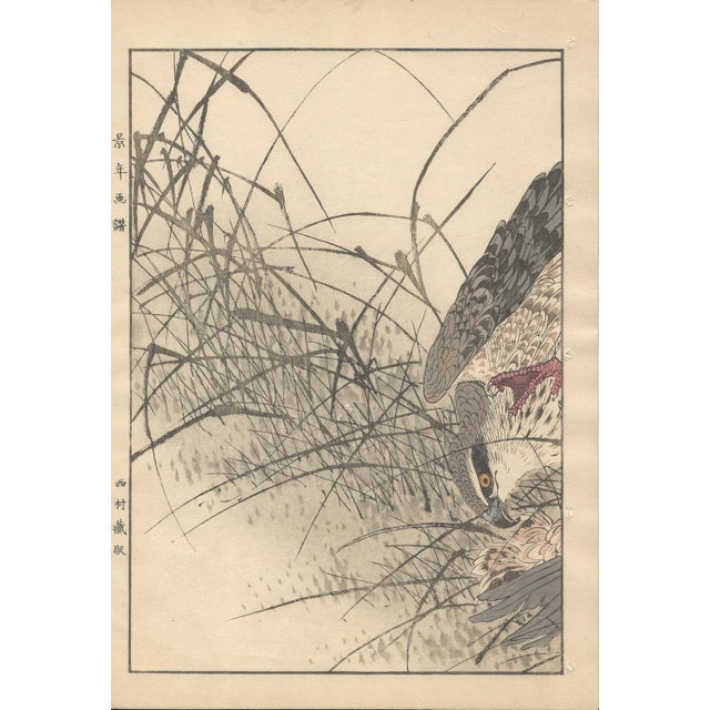 Superb ExtraLarge double-page Woodblock print from 1892 by Imao Keinen (今尾 景年), representing a Eurasian Goshawk (オオタカ)...