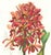 Limited edition reproduction print of one of the most famous botanical works ever produced, "The Orchidaceae of Mexico and...