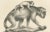C. Last, Forest Devil, Miriki & Long-Bearded Howler Monkeys, 1836, Lithographs, Print For Sale - Image 3 of 8