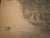 1920s Heinrich Pforr, Uncle Wilhelm Bauer, Working in the Fields in the Schwalm Region, Charcoal on Paper For Sale - Image 5 of 13