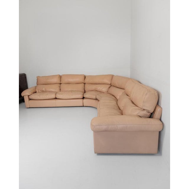 Animal Skin Vintage Modular Leather Sofa by Tito Agnoli for Poltrona Frau, 1970s, Set of 3 For Sale - Image 7 of 17