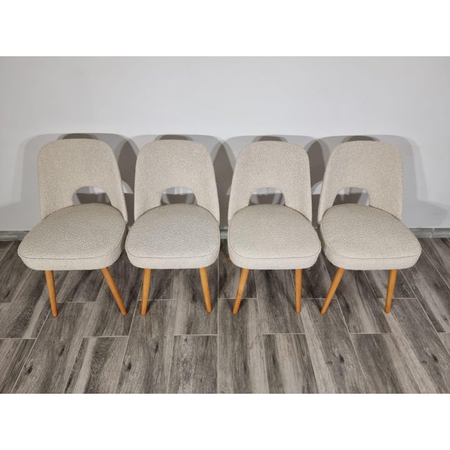 Dining Chairs by Oswald Haerdtl for Ton, 1950s, Set of 4 For Sale - Image 3 of 14