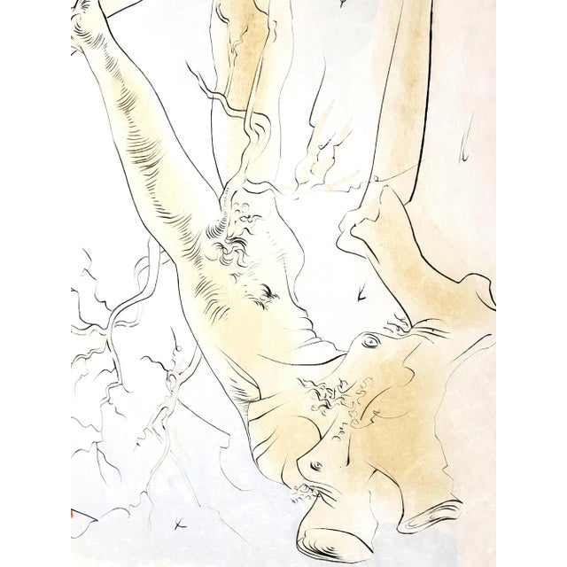 Salvador Dali - The Oak and the Reed - Signed Engraving 1974 For Sale - Image 6 of 13