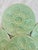 Vintage French Green Majolica Oyster Plate, Proceram For Sale In Atlanta - Image 6 of 13