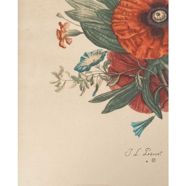 Early 20th Century J L Prevost Botanical Lithograph - Sidney Z. Lucas SZL - Reticulated Wood Frame - Pansies, Poppies & Peony For Sale In Rochester - Image 6 of 12