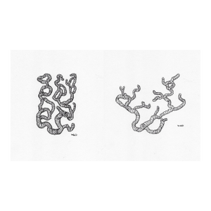 Pair of William Glen Davis Abstract Vermiculated Drawings