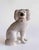 Vintage Staffordshire Style Dogs For Sale - Image 10 of 11
