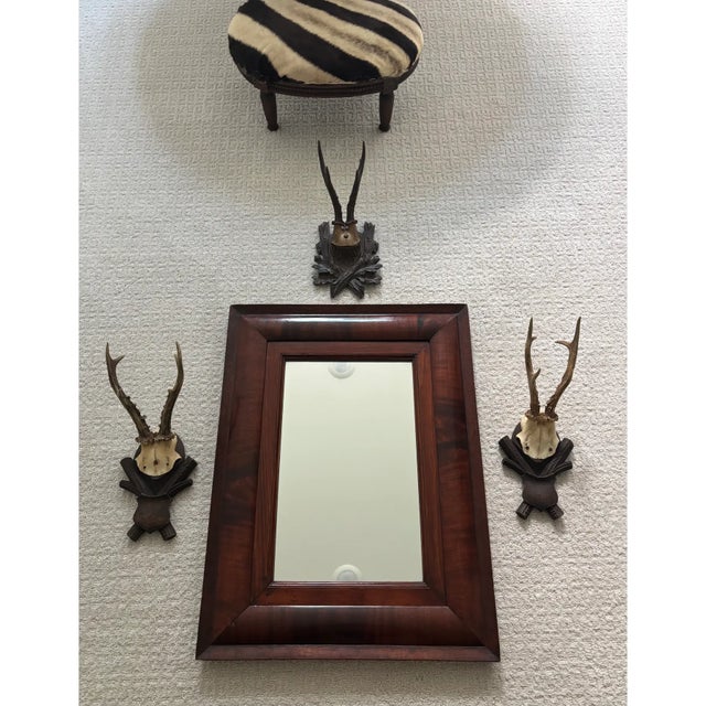 Instant collection of Roe Deer Black Forest antler mounts that compliment one another. The center mount is especially...