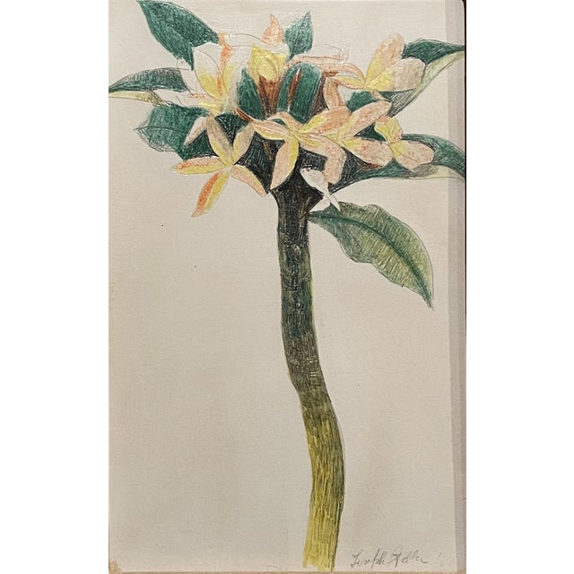 American Early 20th Century "Flower Study" by Joseph Stella American For Sale - Image 3 of 8