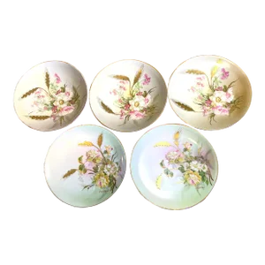 Set of 5 Antique M Z Austria Hand Painted Dessert Plates
