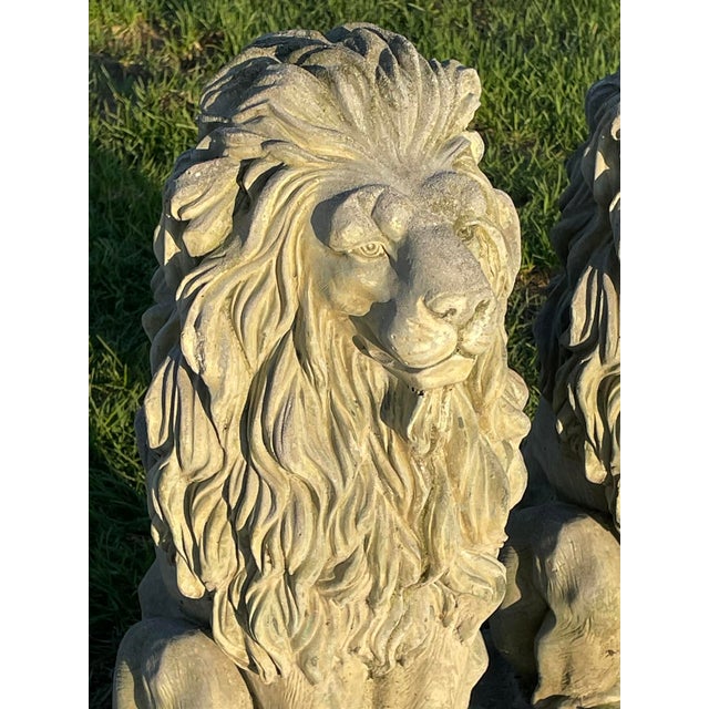 Pair of Majestic Vintage Concrete Lions on Bases For Sale - Image 13 of 15