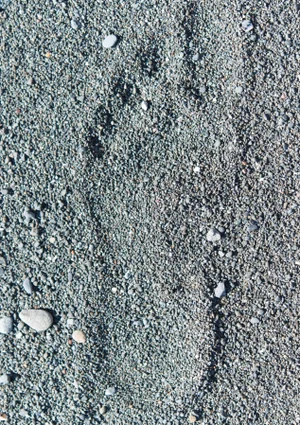 Gaétan Caron "Pied-À-Terre", Mendocino Coast, Ca Photograph, 2105 2015