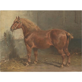 After Eerelman, Suffolk Punch Horse Portrait, 1898, Lithograph For Sale