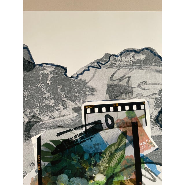 Early 21st Century "Summer Flowers In The Catskills" Abstract Expressionist Print by Peter Astrom For Sale - Image 4 of 13