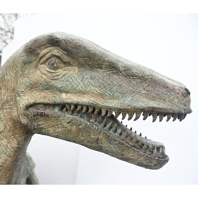 Brown Lifesize Bronze Velociraptor Dinosaur Statue For Sale - Image 8 of 10