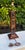 Palecek Vintage Palecek Hand-Painted Rattan and Wood Table Lamp For Sale - Image 4 of 10