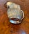 Antique Edwardian Silver Plated Tea and Coffee Set, 1900, Set of 4 For Sale - Image 16 of 18