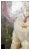 Early 19th British Provencial Portrait on Canvas For Sale - Image 4 of 12