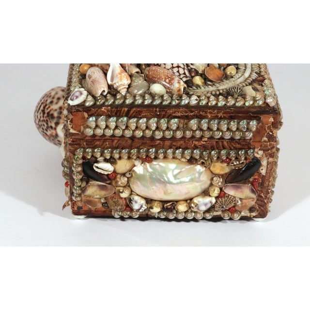 Victorian Shell Encrusted Box With Mirror and Pincushion Interior, 19th Century For Sale In Philadelphia - Image 6 of 13