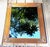 Antique Solid Oak Framed Wall Mirror Gesso Oak & Acorn C. 1900 For Sale - Image 4 of 9