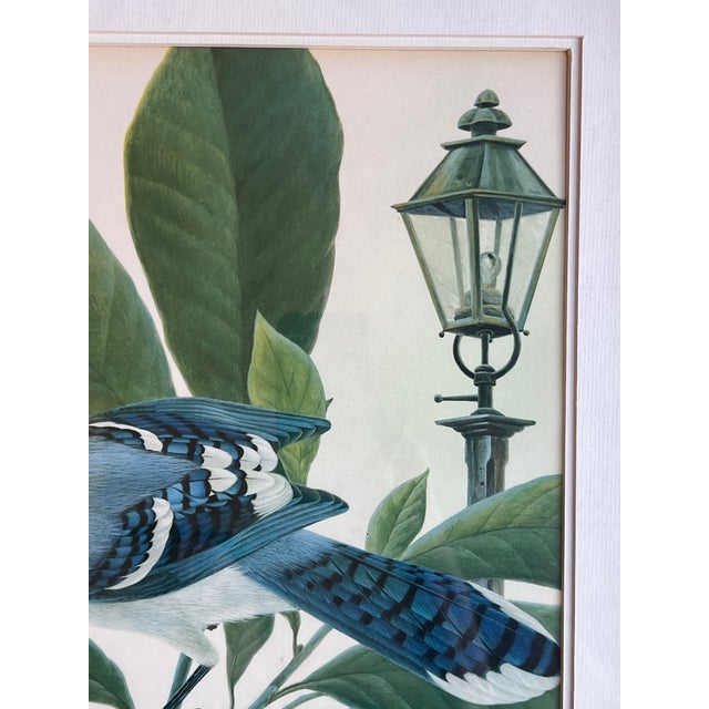 Printmaking Materials John A. Ruthven "Bluejay" Lithograph- Signed For Sale - Image 7 of 13