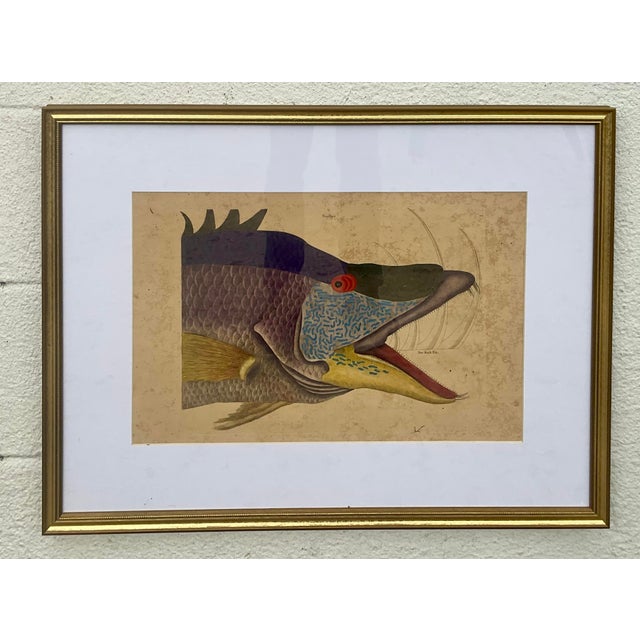 18th Century Framed Engravings by Mark Catesby, Set of Nine Natural History Art For Sale - Image 13 of 17