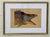 18th Century Framed Engravings by Mark Catesby, Set of Nine Natural History Art For Sale - Image 13 of 17