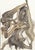 Original engraving from Salvador Dalí’s "The Divine Comedy" published by Editions d’Art Les Heures Claires, Paris, in...