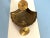 1970s Brass Clam Shell Door Knocker For Sale - Image 15 of 15