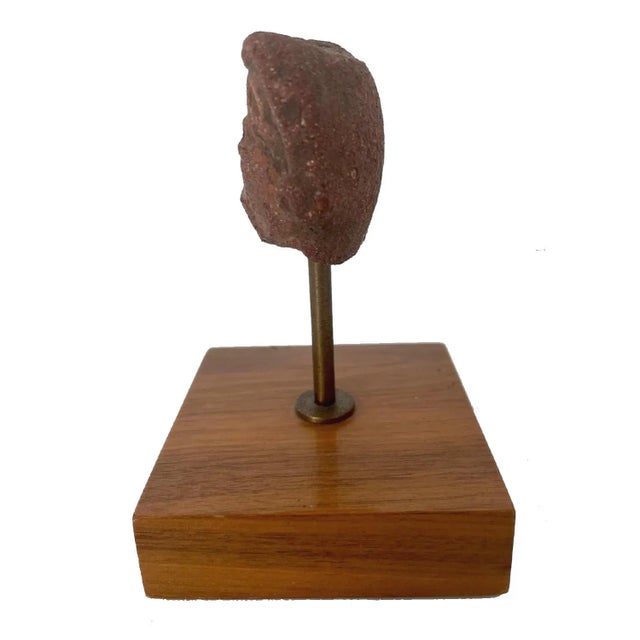 Tribal Authentic Pre- Columbian Mayan Artifact Head Mounted For Sale - Image 3 of 7