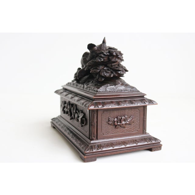 Antique 19th Century Swiss Black Forest Jelwery Box with Birds, 1880 For Sale - Image 6 of 10