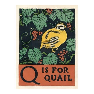 1920s, Q Is for Quail Print, Original Vintage Children’s Print, Lithograph, ABCs For Sale