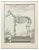 Jean Moitte, Skeleton, Etching, 1771 For Sale