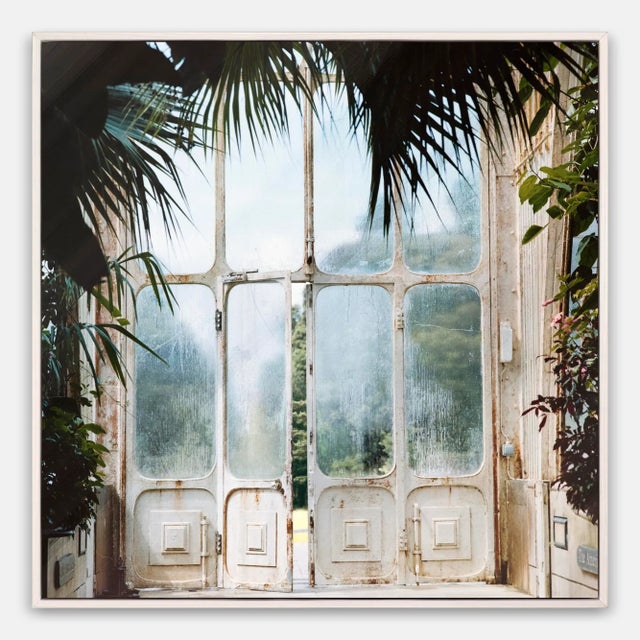 Contemporary Greenhouse 2 by Annie Spratt, Art Print in Whitewash Frame, Large For Sale - Image 3 of 3