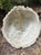 Vintage Concrete Lion Fountain Head For Sale - Image 4 of 6