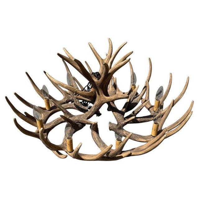 Fantastic & unbelievable deer horn chandelier with all new wiring. In fantastic condition and fine working order.