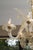 1940s Exquisite 6-Light Murano Glass Chandelier, 1940s Italy For Sale - Image 12 of 18